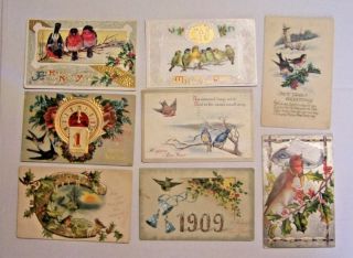 8 Vintage Years Postcards With Birds,  All Early 1900 