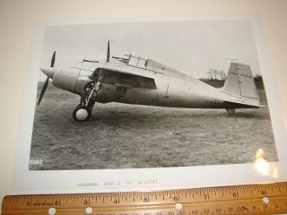 Vintage Military Airplane Aircraft Photo Photograph 8x10 Grumman Xf4f - 3 Wildcat