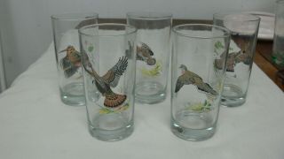 5 Vintage Mcm 60s Ned Smith Game Bird High Ball Glasses Tumblers