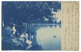 Vintage Cyanotype Denver Postcard 1906 With One Cent Stamp Swans On Lake