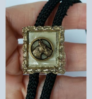 Vintage Bolo Tie Gold Tone Mother Of Pearl Schnauzer Dog Head In Ornate Frame