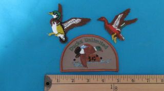 3 Rare Ducks Unlimited Hunter Hunting Patch Crest Emblem