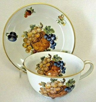 Vintage China Teacup And Saucer Mitterteich Bavaria Germany Fruit Motif,