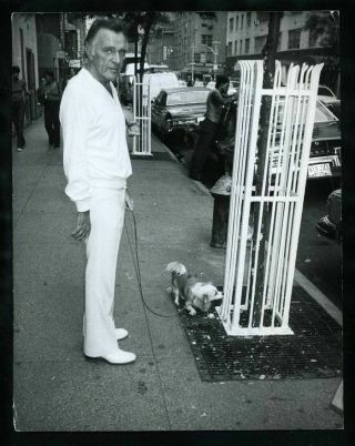 1970s Richard Burton Walks His Dog Vintage Photo Where Eagles Dare Gp