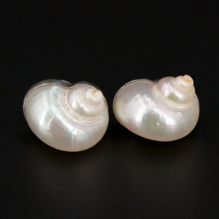 Vtg Sterling Silver & 14k Gold Posts Betsy Fuller Pearl Seashell Earrings - 7.  5g
