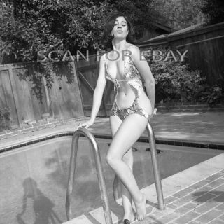 Gigi Perez Nude 2.  25 " Negative Classic Model Vintage 1960 