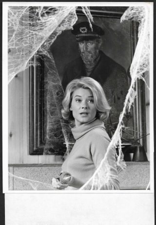 Pretty Hope Lange The Ghost & Mrs.  Muir Nbc Television Vintage 1968 Photograph