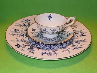 Set Of 3 Vintage Coalport England Tea Cup Saucer & Display Plate With Blue Birds
