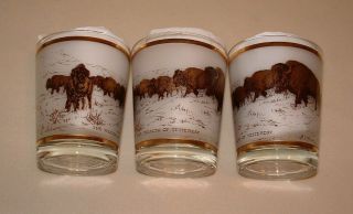 Vintage Set Of 3 Clear Frosted Glass Tumblers W/ Gold Buffalo 14 Oz Bar Glasses