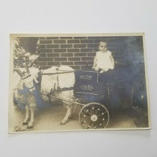 Vintage Old 1938 Photo Depression Era Baby In Wagon Pulled By Ram Sheep 5 " By 7 "