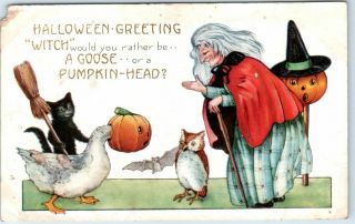 Vintage Whitney Halloween Postcard Witch Red Cape Black Cat Jol Goose C1920s
