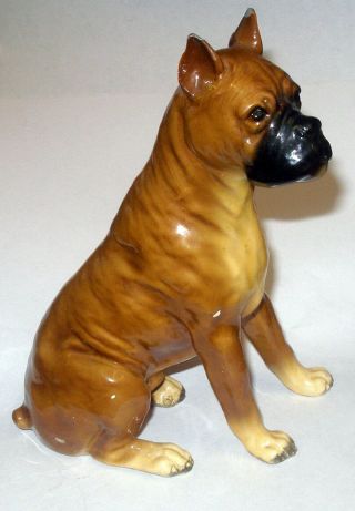 Vintage Mortons Studio Boxer Dog Sitting 6 1/2 " Tal