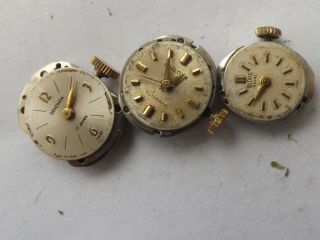 A Vintage Ladies Tudor Royal Movement And 2 Others