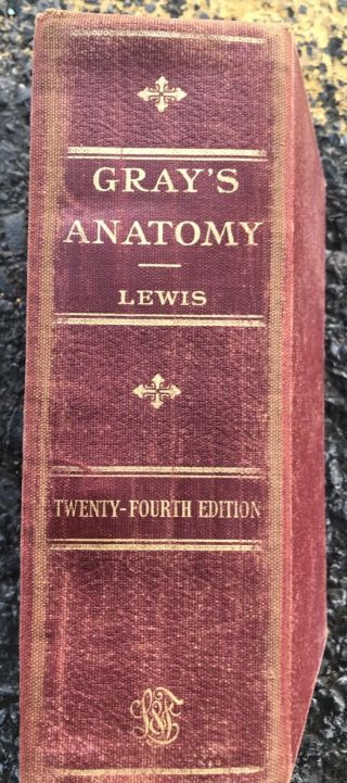 Vintage 1942 Gray’s Anatomy 24th Edition Hardcover Book Henry Grey By Lewis.