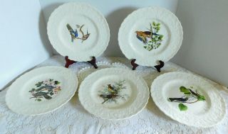 5 Assorted Vintage Alfred Meakin Audubon Birds Of America Dinner Plates