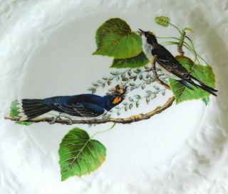 5 Assorted Vintage Alfred Meakin Audubon Birds of America Dinner Plates 5