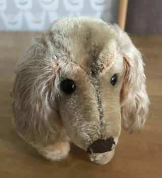 Vintage Steiff Waldi Dachshund Dog Button In Ear Tlc