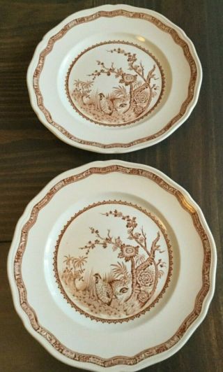 Two Vintage Furnivals Brown Quail Luncheon Plates 8 & 3/4 England