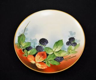 Vintage J&c Bavaria Germany Hand Painted Dessert Plate Fruits Berries