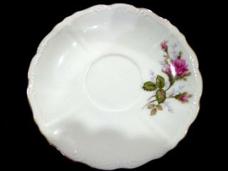 Vintage Fine China /moss Rose Tea Cup Saucer