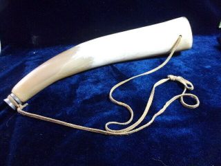 A Vintage Natural Cow Horn,  Hunting Horn.