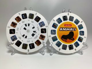 Discovery Channel Demo And Animal Reels View Master Reel Viewmaster Vintage