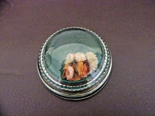 Vintage Domed Glass Paperweight With Dried Flowers (1A098) 2