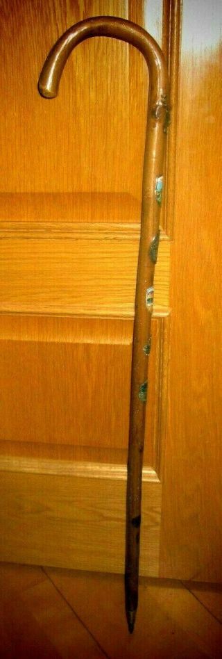 Vintage German Alpine Walking Stick With Collecable Badges 36 Ins Long
