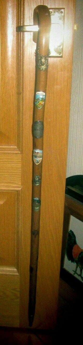 Vintage German ALPINE Walking Stick with Collecable Badges 36 ins long 2