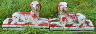 Vintage Staffordshire Style Dogs,  Sitting - Hand Painted,  Figurines
