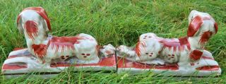 Vintage STAFFORDSHIRE Style DOGS,  Sitting - Hand Painted,  Figurines 2