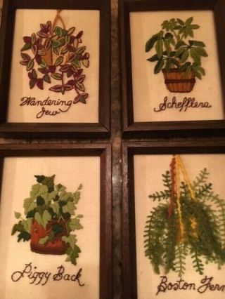 Four Vintage 70s Framed Completed Crewel Embroidery Boston Fern & House Plants