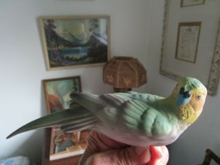 Vintage Bisque Parakeet