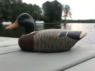 Herb Daisey Jr Decoy Carved Mallard Drake Duck Chincoteague,  Va 7.  5”