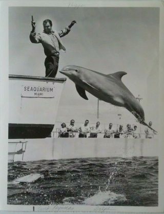 1965 Vintage Flipper Press Photo Burt Reynolds " Dolphin In Pursuit "