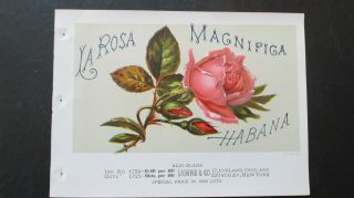 Vintage La Rosa Magnifica Inner Cigar Label Salesman Sample