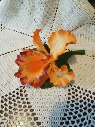 Vintage Capodimonte Fabar  Orange Orchid  Bisque - Porcelain Figurine Ex Cond