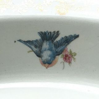 Antique Vtg Homer Laughlin USA K & N Bluebird Serving Bowl Dish w Gold Trim 3