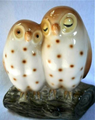 Wonderful Vintage Owl Bird Accent Glass Light Figure Figurine Lamp Shade Cover