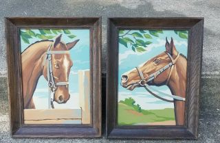 Vintage Pair Paint By Number Horse Pictures 17 X 13 Framed