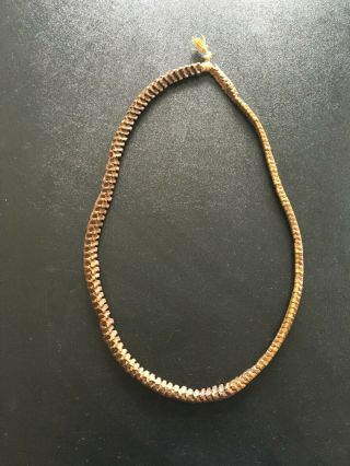Vintage,  Real Snake Vertebrae Necklace 20 "