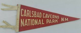 Vintage Carlsbad Caverns National Park Mexico Mini Felt Pennant