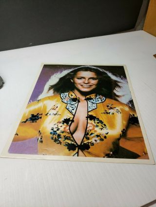 Vintage 1970s Charlies Angels Cheryl Ladd Girlie Poster Sticker Large Size