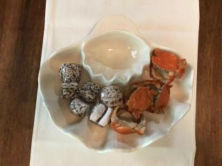 Vintage Shell Bowl & 10 Napkin Rings Crabs & Shells