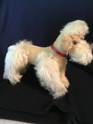 Steiff Snobby Poodle Dog Mohair Plush 5 " No Metal Button But Tag Holder1960s Vtg