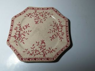 Vintage Foley Potteries J.  F.  Wileman Octagonal Plate In Pippin Pattern