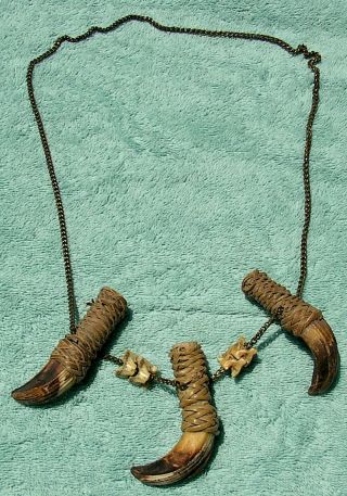 Vintage Primitive Wild Boar Tusk Necklace Brass Chain 26 "