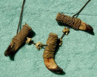 Vintage Primitive Wild Boar Tusk Necklace Brass Chain 26 