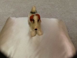 Vintage Miniature Steiff Foxy Fox Terrier Dog Mohair 4 " Paper Tag Id