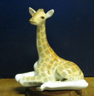 Vintage Lomonosov Ussr Russian Seated Baby Giraffe Figurine - 13.  5cm/5.  1/4 " High